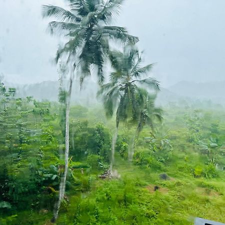 D Studio Villa Matugama Buitenkant foto