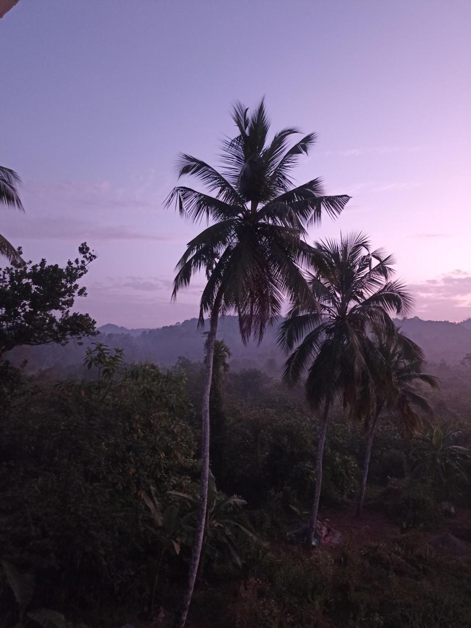 D Studio Villa Matugama Buitenkant foto