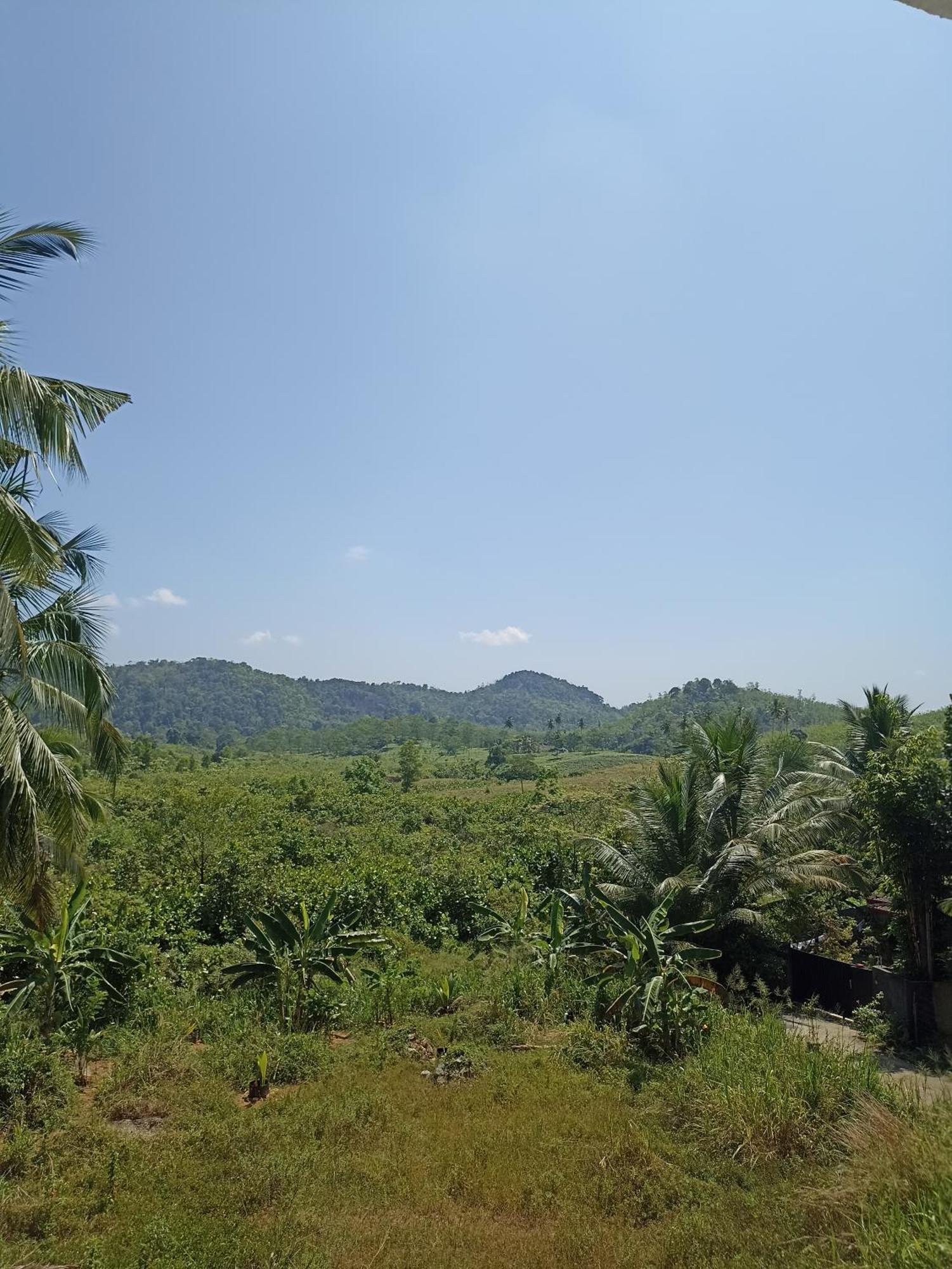 D Studio Villa Matugama Buitenkant foto