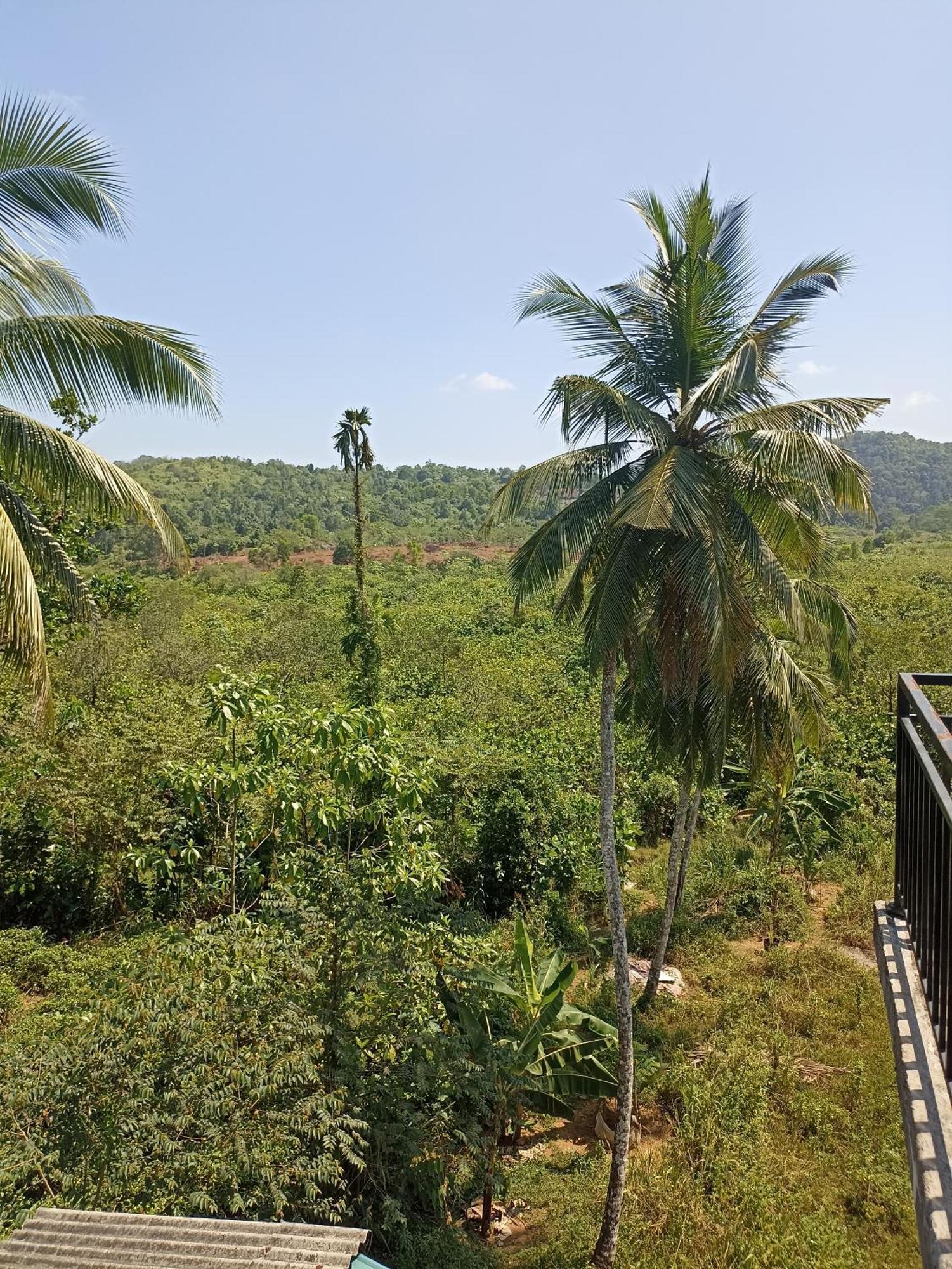 D Studio Villa Matugama Buitenkant foto