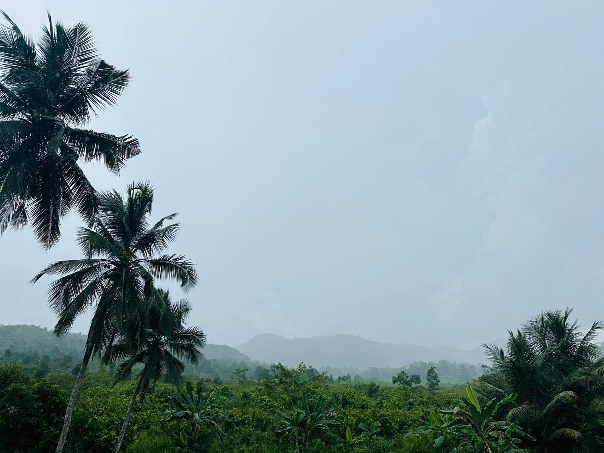 D Studio Villa Matugama Buitenkant foto