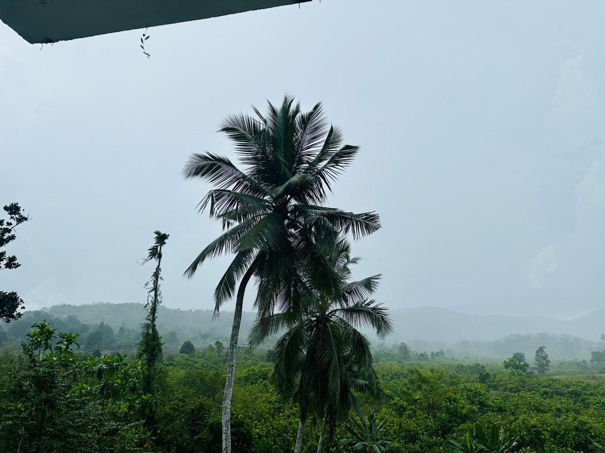 D Studio Villa Matugama Buitenkant foto