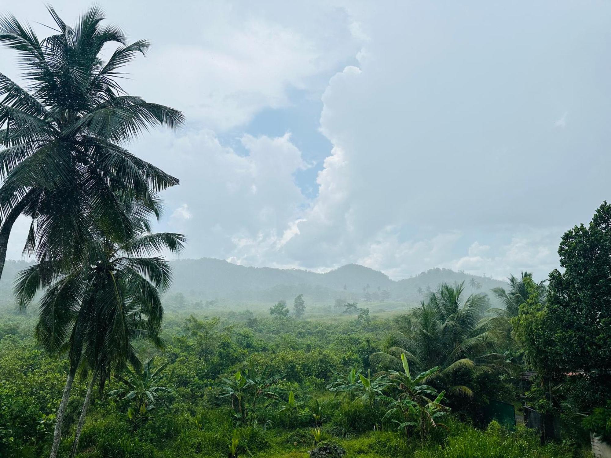 D Studio Villa Matugama Buitenkant foto