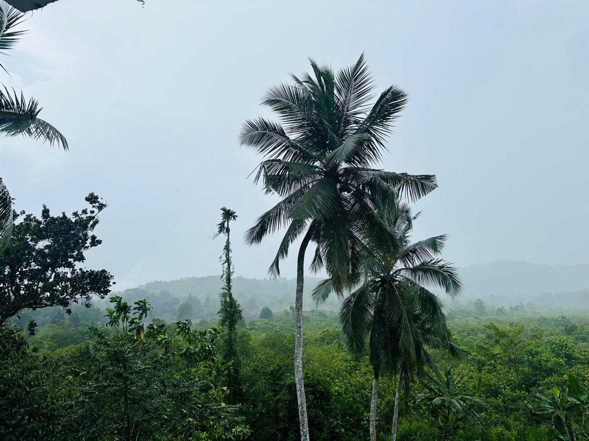D Studio Villa Matugama Buitenkant foto