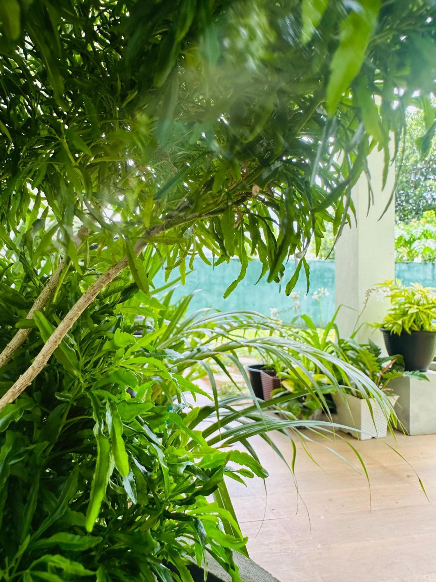 D Studio Villa Matugama Buitenkant foto
