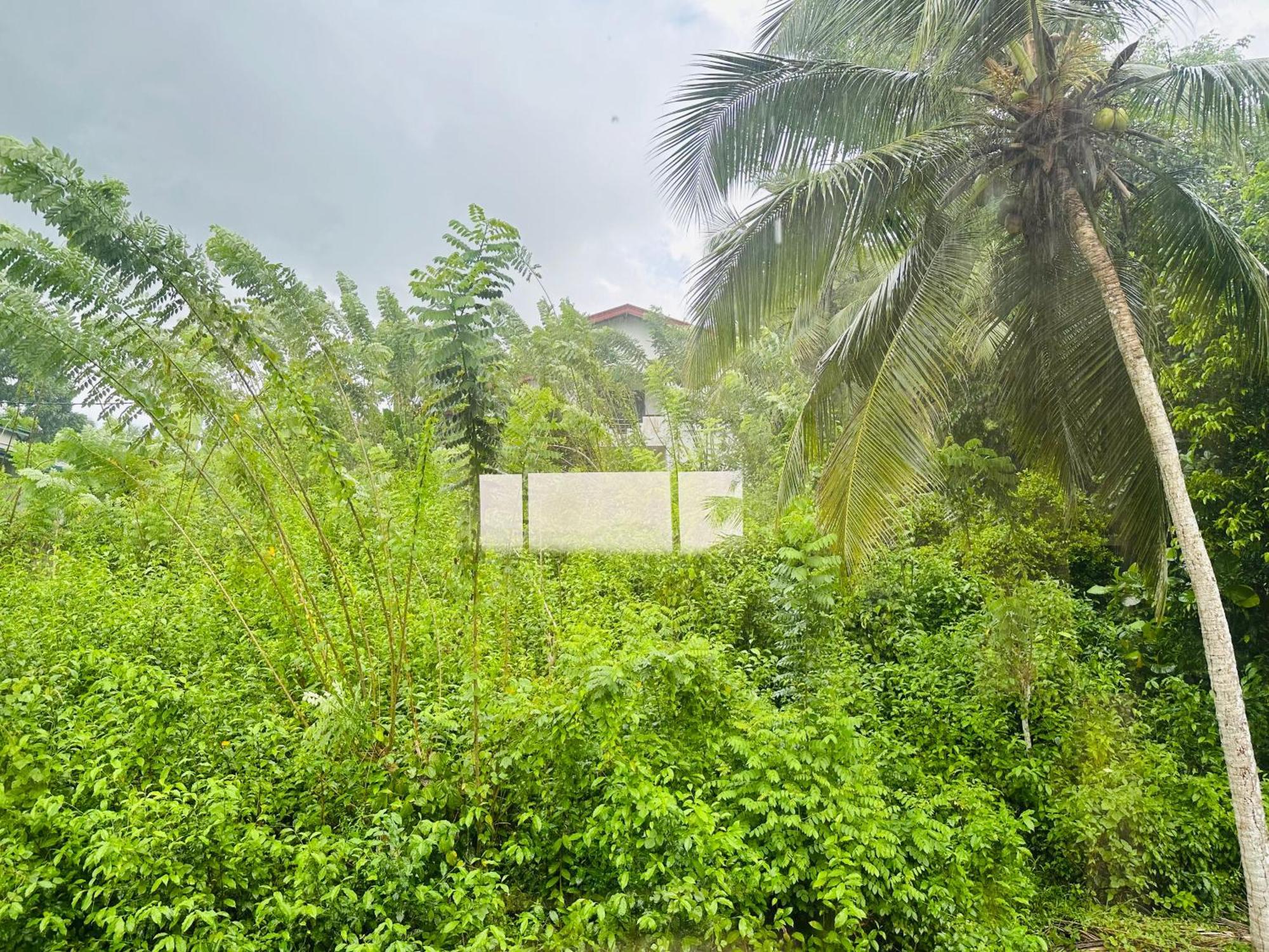D Studio Villa Matugama Buitenkant foto