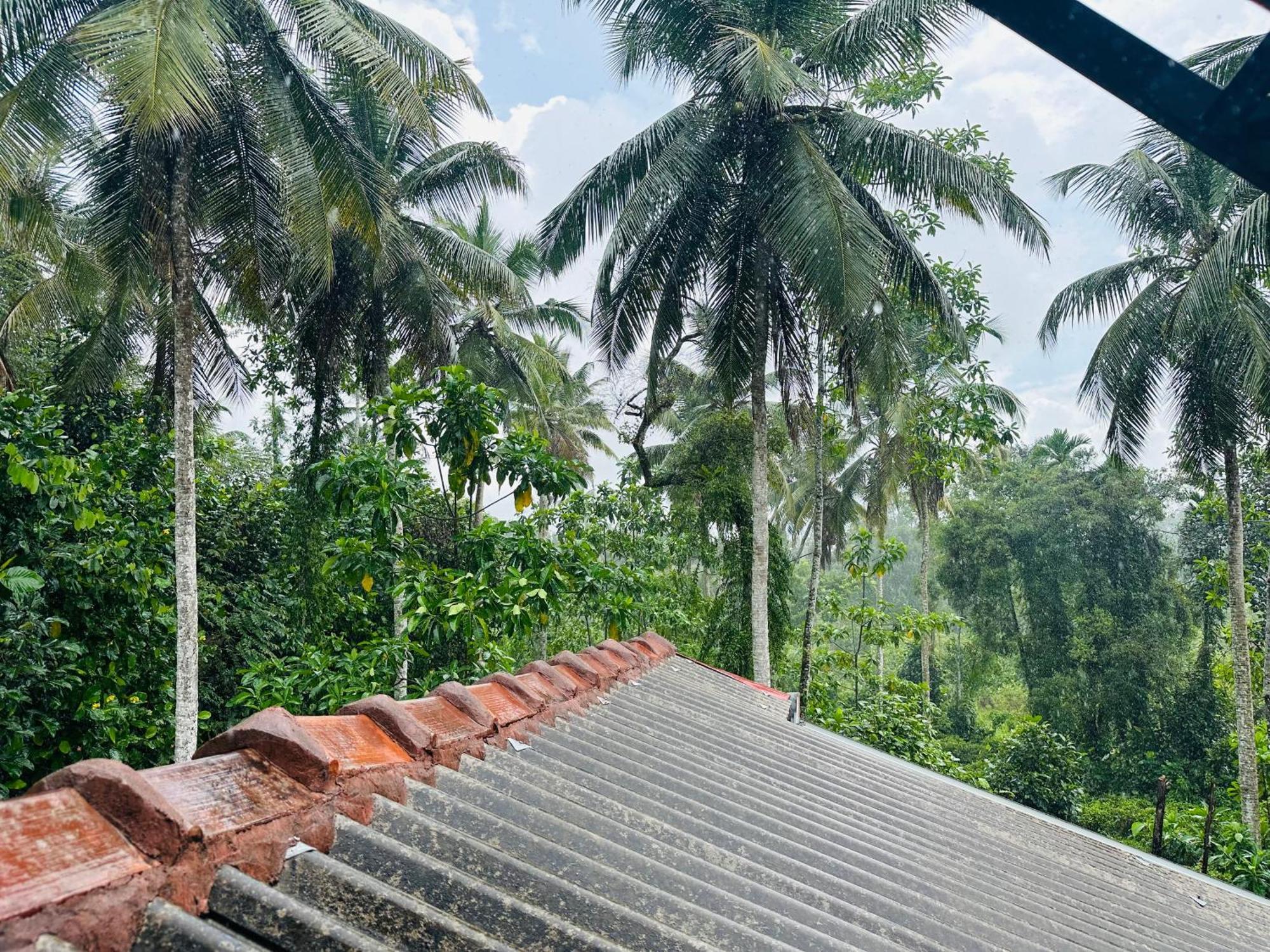 D Studio Villa Matugama Buitenkant foto