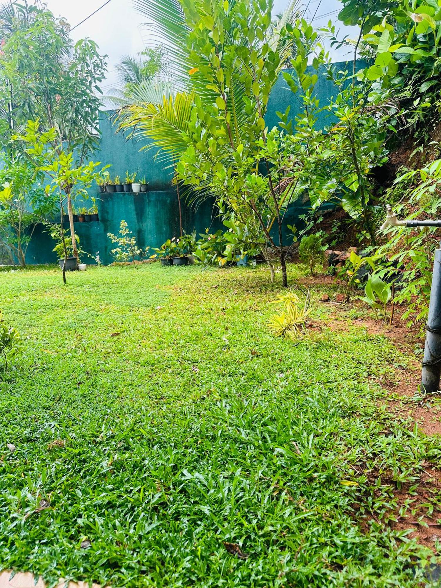 D Studio Villa Matugama Buitenkant foto